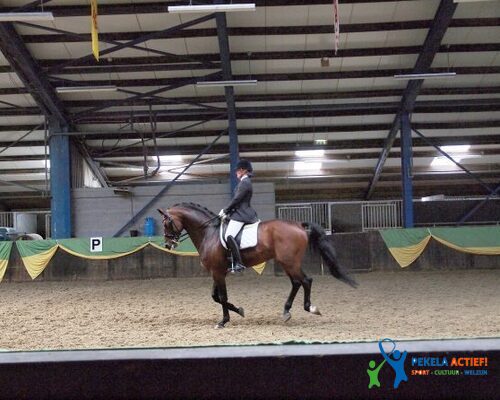 Manege NIOP